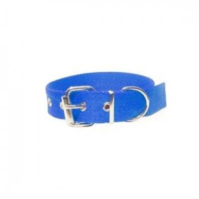 Collar Para Perro / Gato N° 0