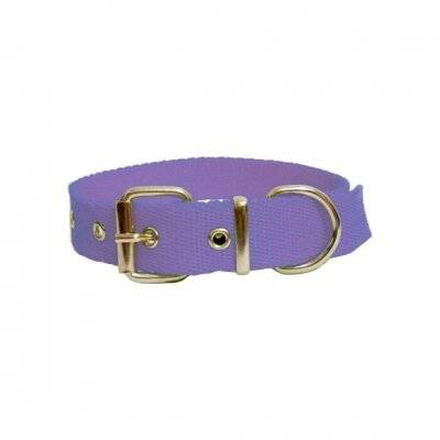 Collar Para Perro / Gato N° 1